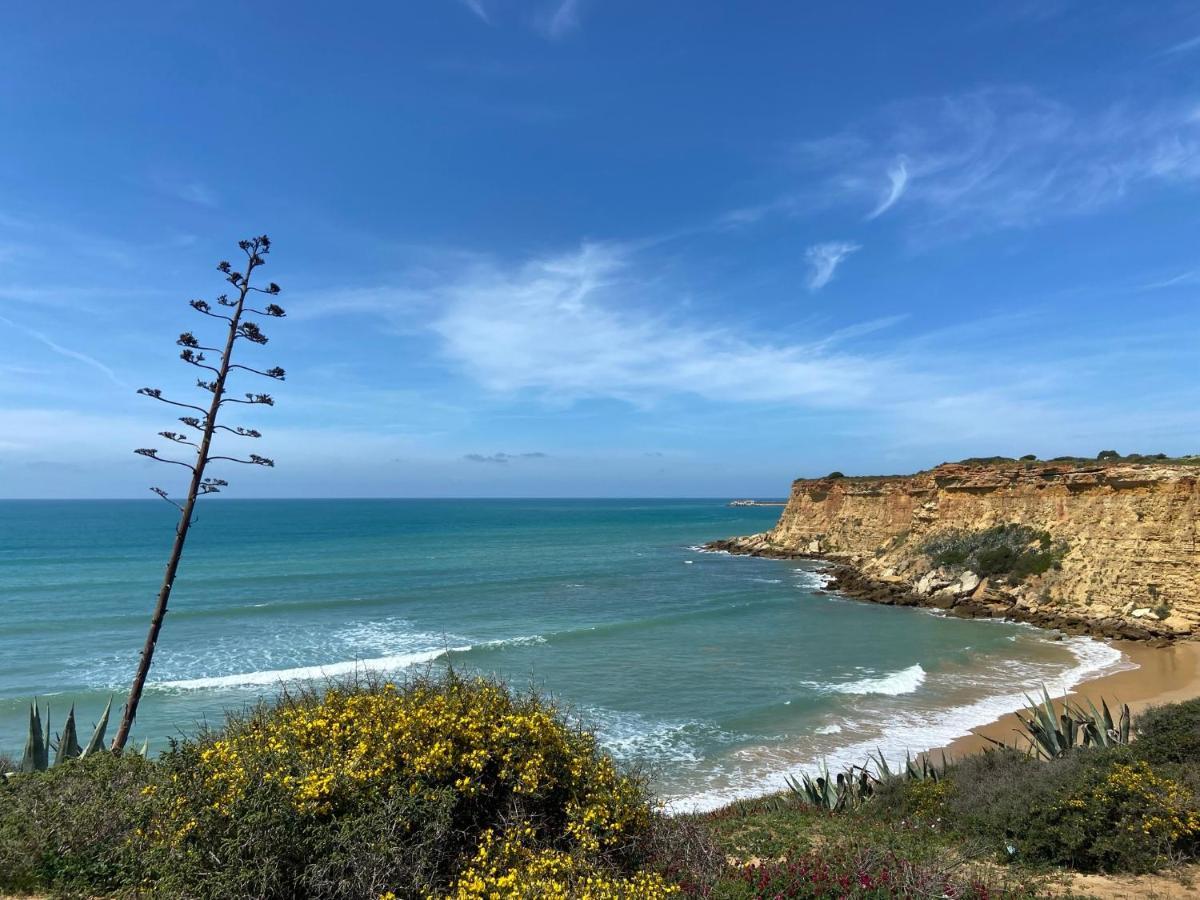 Los Mellizos Conil De La Frontera
